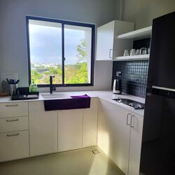 Holland Rise (D10), Apartment #625043721